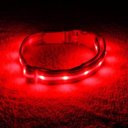 Brightest Light up Dog Collars - the Original LED Dog Collar with 1,000 Feet of Visibility - USB Rechargeable Waterproof Dog Collar Light - Dog Lights for Night Walking - USA Brand