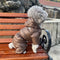 Winter Dog Jumpsuits Warm Soft Dog Clothes Padded Cotton Puppy down Jacket Fashion Solid Cat Jumpsuit Coat Chihuahua Pet Clothes